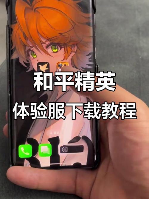 和平精英辅助版本下载苹果版安装-苹果玩家注意：和平精英辅助版本下载安装风险高